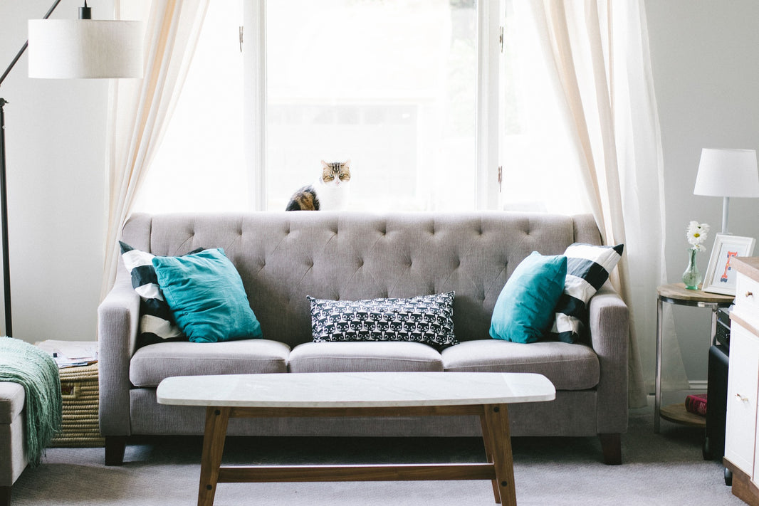 Quel coussin choisir pour un canapé gris ?