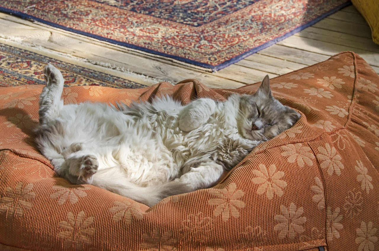 Coussin pouf - Coussin Malin